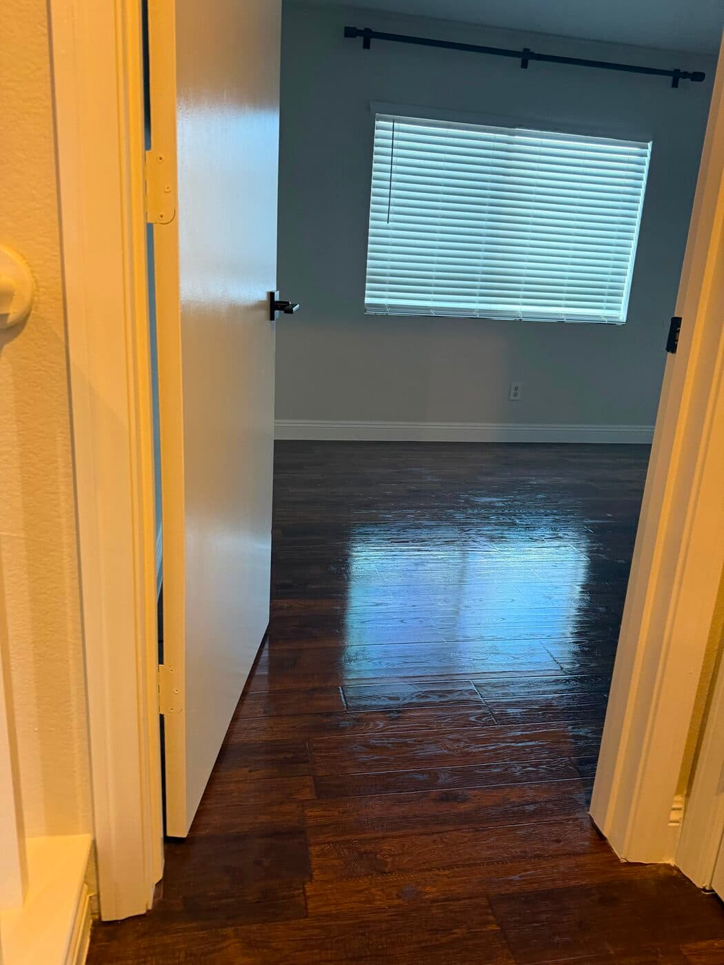 Move-In / Move-Out Cleaning