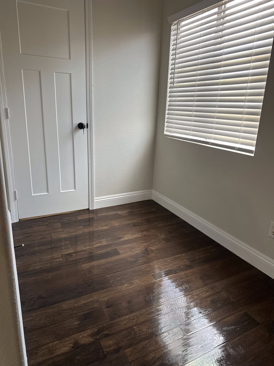 Move-In / Move-Out Cleaning